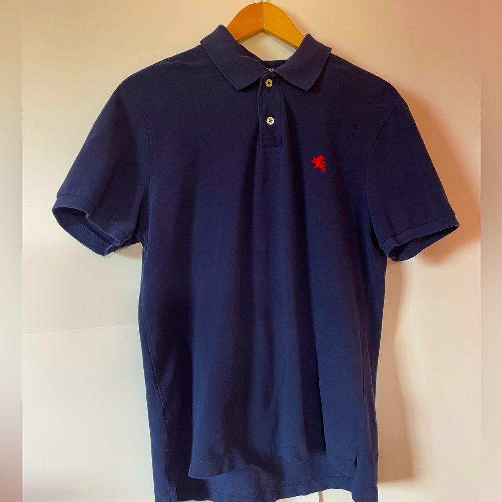 EXPRESS Polo Shirt for Men